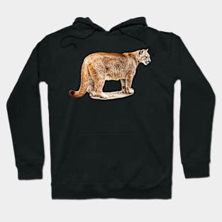 Full bodied Cougar Hoodie